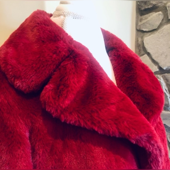 NEW Rachel Zoe FAUX Fur Coat Jacket Silky Soft & Fully Lined XS NWOT - Picture 2 of 9